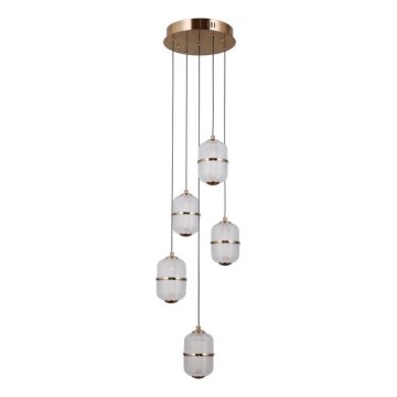 ITALUX - LED luster na sajli ALANI 5xLED/5,6W/230V 3000K zlatna