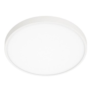 ITALUX - LED plafonsko svetlo RIBERIO LED/30W/230V 3000K belo