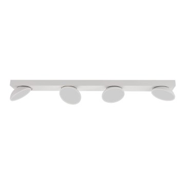ITALUX - LED spot svetlo CASTELIO 4xLED/5W/230V 4000K bela