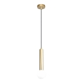 ITALUX - Luster na sajli FILANO 1xG9/5W/230V zlatna