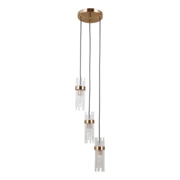 ITALUX - Luster na sajli TARASO 3xE14/40W/230V zlatan