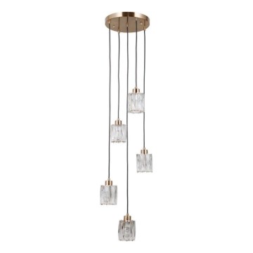 ITALUX - Luster na sajli TORNO 5xE14/40W/230V zlatna