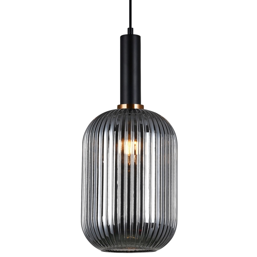 ITALUX - Visilica na sajli ANTIOLA 1xE27/40W/230V prečnik 20 cm crna