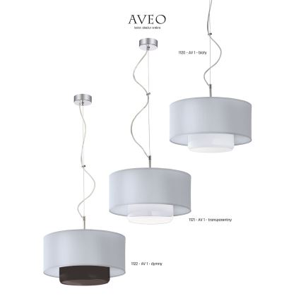 Jupiter 1121 - AV 1 - Viseće svetlo AVEO 1xE27/80W/230V