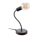 Jupiter 1669 - Stona lampa LUCE 1xE27/60W/230V titan