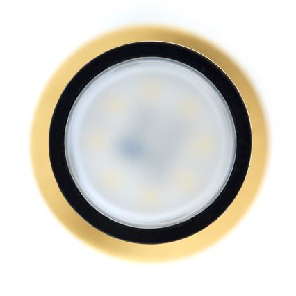 Jupiter 2009 - Luster na sajli ALAS 1xGU10/10W/230V zlatni