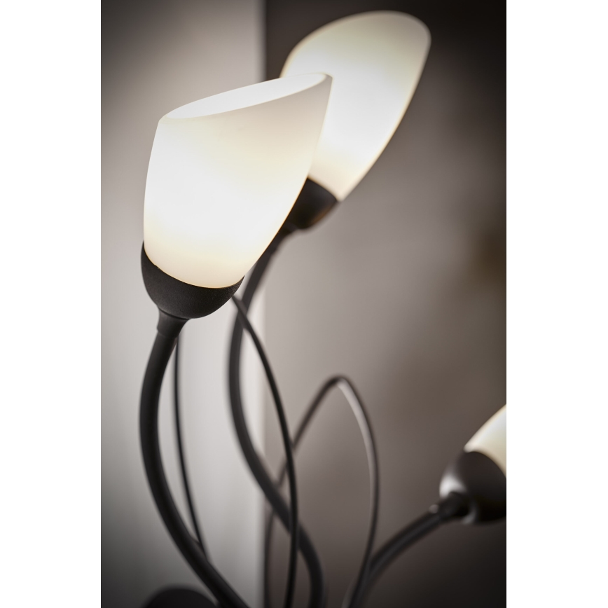 Jupiter 2059 - Zidna lampa GLORIOSA 3xG9/14W/230V crna