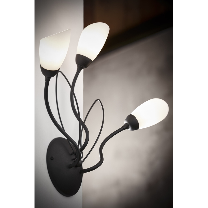 Jupiter 2059 - Zidna lampa GLORIOSA 3xG9/14W/230V crna