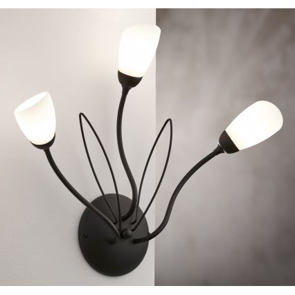 Jupiter 2059 - Zidna lampa GLORIOSA 3xG9/14W/230V crna
