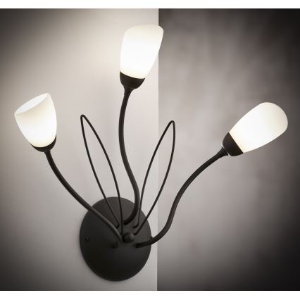 Jupiter 2059 - Zidna lampa GLORIOSA 3xG9/14W/230V crna