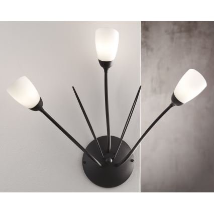 Jupiter 2059 - Zidna lampa GLORIOSA 3xG9/14W/230V crna