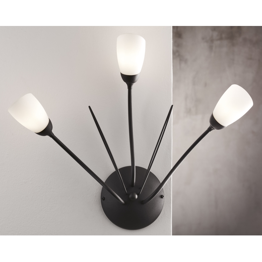 Jupiter 2059 - Zidna lampa GLORIOSA 3xG9/14W/230V crna