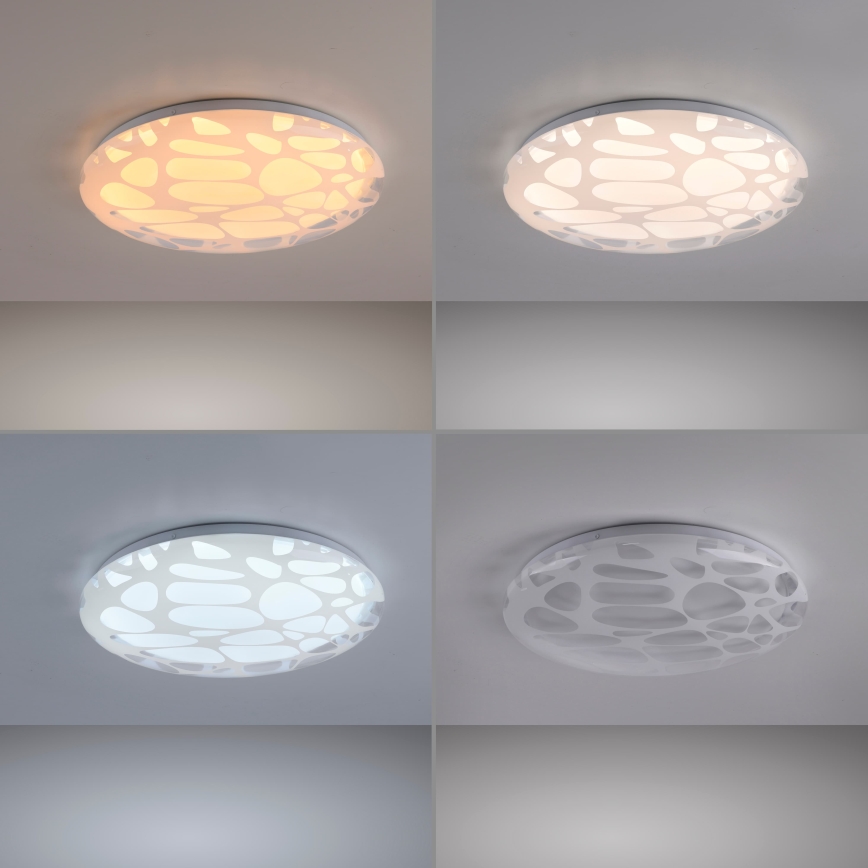 JUST LIGHT. 14009-16 - LED prigušiva plafonska svetiljka ART PLAFO LED/20W/230V 2700-6500K prečnik 38 cm bela + sa daljinskim upravljačem