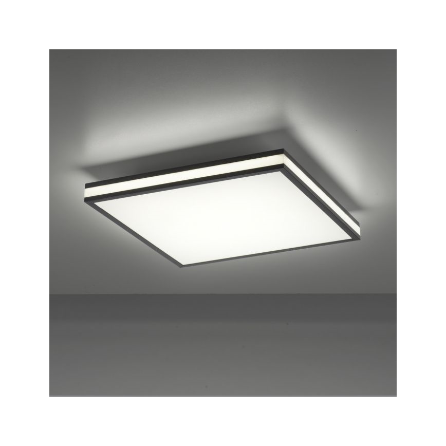 JUST LIGHT. 14110-18 - LED RGBW prigušiva plafonska svetiljka MARIO BLACK LED/19,5W/230V 2700-5000K + daljinski upravljač