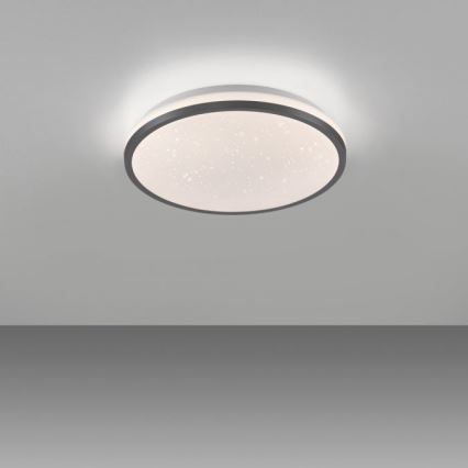 JUST LIGHT. 14293-18 - LED prigušiva stropna svetiljka KYLE LED/10W/230V pr. 28 cm crna