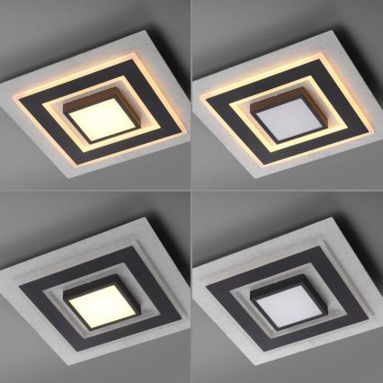 JUST LIGHT. 14439-21 - LED plafonsko svetlo CICHIO LED/18,5W/230V + LED/9W 40x40 cm crna