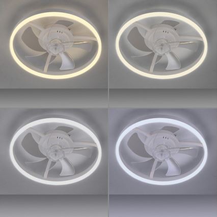 JUST LIGHT. 14624-16 - LED prigušiva plafonski ventilator sa svetlom RITA, LED 22W, 230V, 3000-6000K, prečnik 50 cm, bela + daljinski upravljač