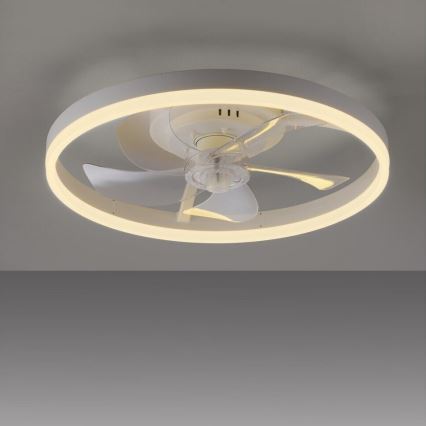 JUST LIGHT. 14624-16 - LED prigušiva plafonski ventilator sa svetlom RITA, LED 22W, 230V, 3000-6000K, prečnik 50 cm, bela + daljinski upravljač