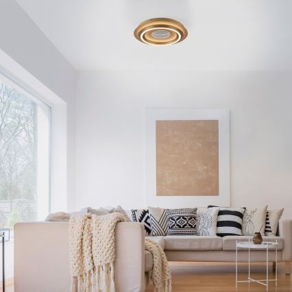 JUST LIGHT. 15089-60 - LED plafonsko svetlo CICHIO LED/36W/230V prečnik 40 cm zlatno