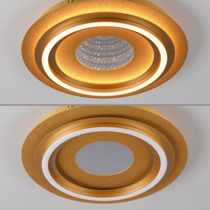 JUST LIGHT. 15089-60 - LED plafonsko svetlo CICHIO LED/36W/230V prečnik 40 cm zlatno