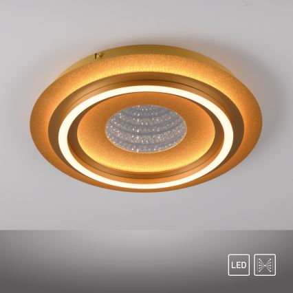 JUST LIGHT. 15089-60 - LED plafonsko svetlo CICHIO LED/36W/230V prečnik 40 cm zlatno