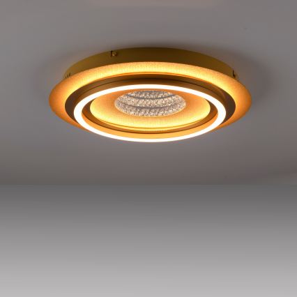 JUST LIGHT. 15089-60 - LED plafonsko svetlo CICHIO LED/36W/230V prečnik 40 cm zlatno