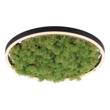 JUST LIGHT. 15391-66 - LED prigušiva plafonska svetiljka GREEN RITU LED/20W/230V