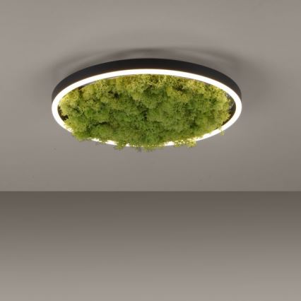 JUST LIGHT. 15391-66 - LED prigušiva stropna svetiljka GREEN RITU LED/20W/230V
