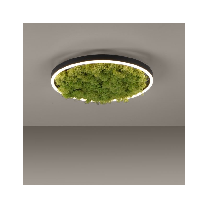 JUST LIGHT. 15391-66 - LED prigušiva stropna svetiljka GREEN RITU LED/20W/230V