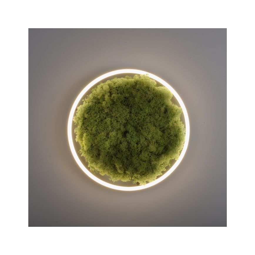 JUST LIGHT. 15391-66 - LED prigušiva stropna svetiljka GREEN RITU LED/20W/230V