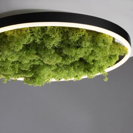 JUST LIGHT. 15391-66 - LED prigušiva stropna svetiljka GREEN RITU LED/20W/230V