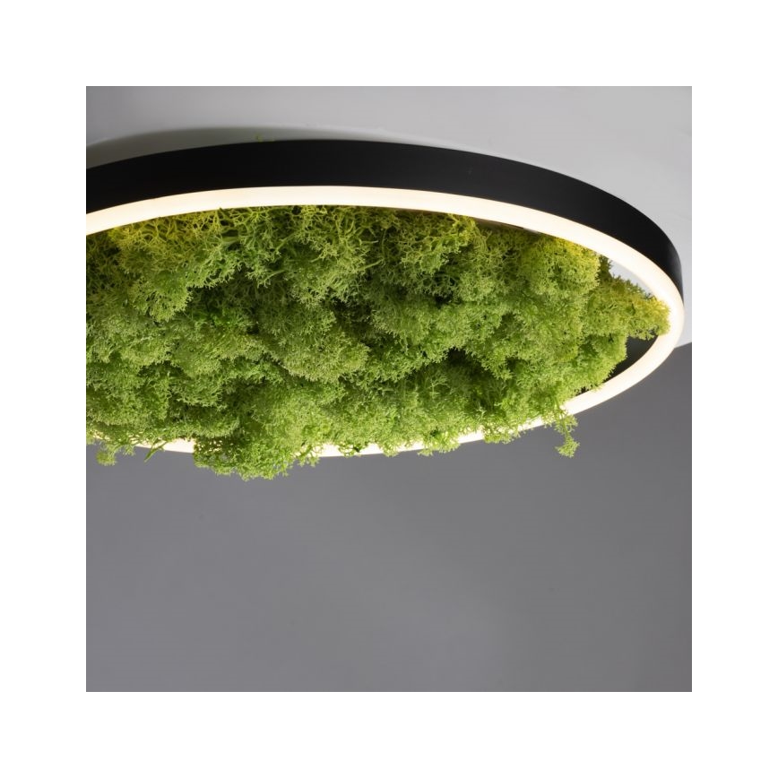 JUST LIGHT. 15391-66 - LED prigušiva stropna svetiljka GREEN RITU LED/20W/230V