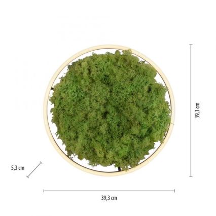 JUST LIGHT. 15391-66 - LED prigušiva stropna svetiljka GREEN RITU LED/20W/230V