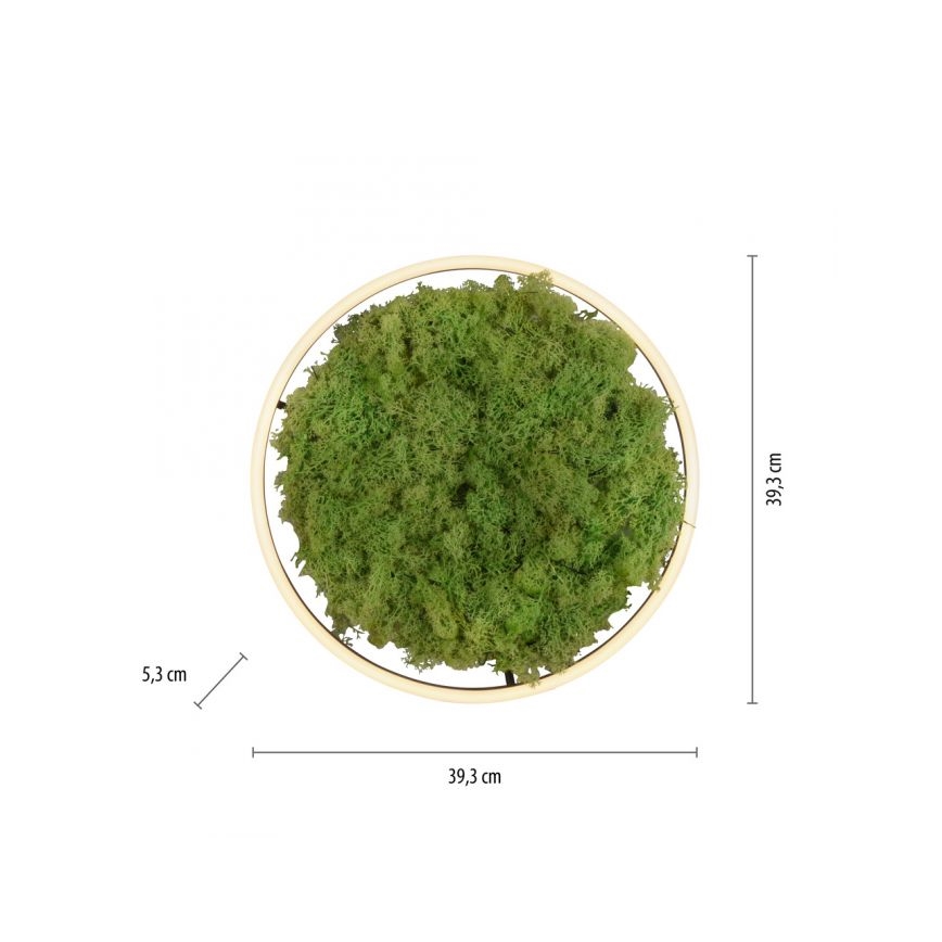 JUST LIGHT. 15391-66 - LED prigušiva stropna svetiljka GREEN RITU LED/20W/230V