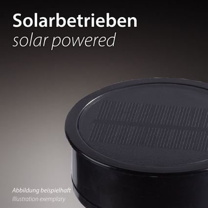 JUST LIGHT. 19106-18-3 - Komplet od 3 LED solarna svetla FACKEL LED/0,24W/1,2V 200 mAh IP44 crna