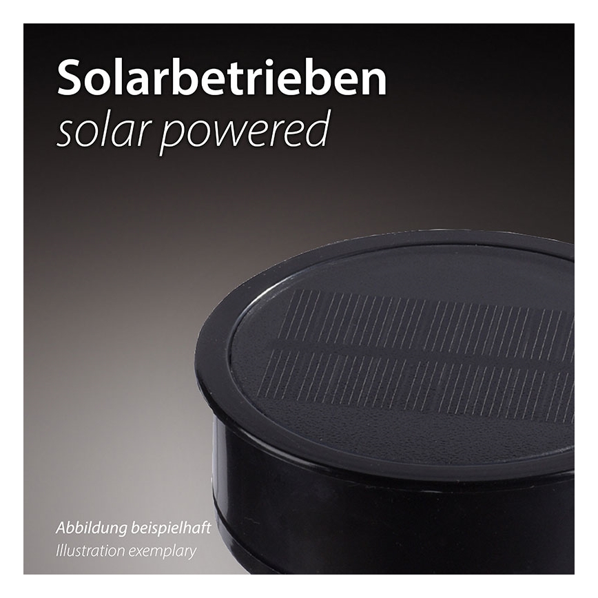 JUST LIGHT. 19106-18-3 - Komplet od 3 LED solarna svetla FACKEL LED/0,24W/1,2V 200 mAh IP44 crna