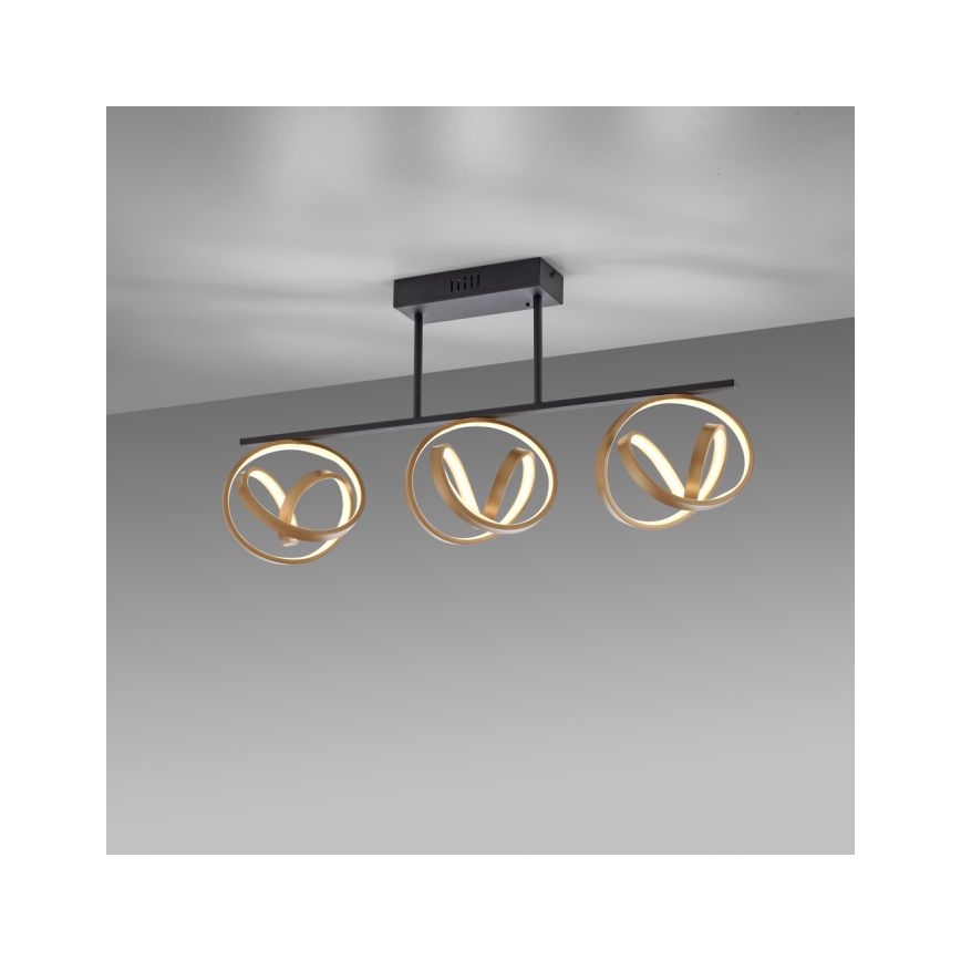 JUST LIGHT. 6245-18 - LED prigušiva plafonska lampa LOOP 3xLED/11W/230V 2700-5000K + daljinski upravljač