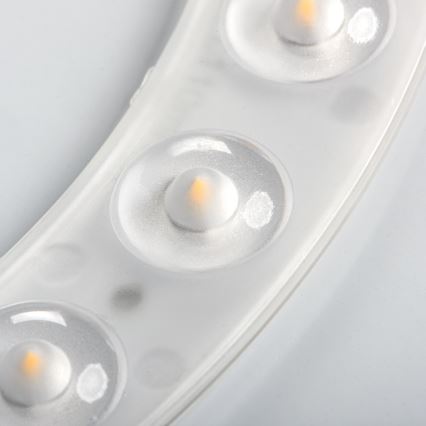 LED plafonsko svetlo sa senzorom pokreta i sumraka FOGLER LED/12W/230V, prečnika 28 cm