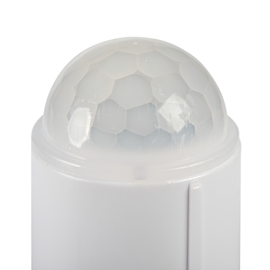 LED plafonsko svetlo sa senzorom pokreta i sumraka FOGLER LED/12W/230V, prečnika 28 cm