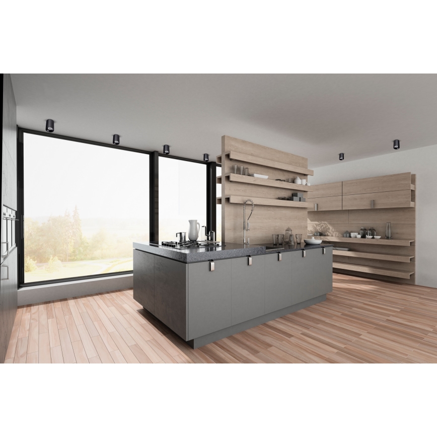 Plafonsko svetlo RITI 1xGU10/25W/230V crno