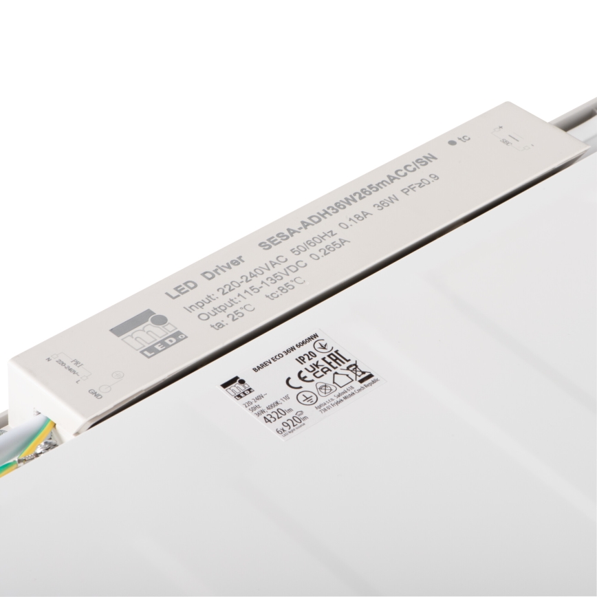 LED panel za spušteni plafon BAREV ECO LED/36W/230V 4000K 60x60 cm