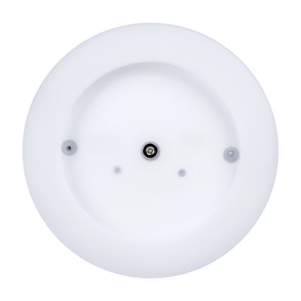 LED spoljašnje plafonsko svetlo TURA LED/24W/230V 4000K IP65 crna
