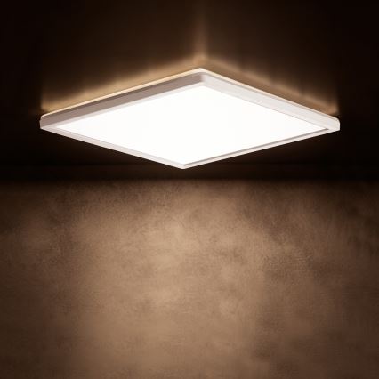 LED plafonsko svetlo AZPO LED/17,5W/230V 3000/4000/6000K 30x30 cm IP54 belo