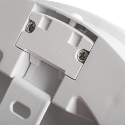 LED spoljašnje svetlo BENO LED/24W/230V 4000K belo IP54