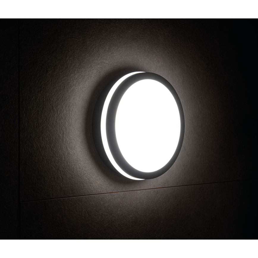 LED spoljašnje svetlo BENO LED/24W/230V 4000K antracit IP54