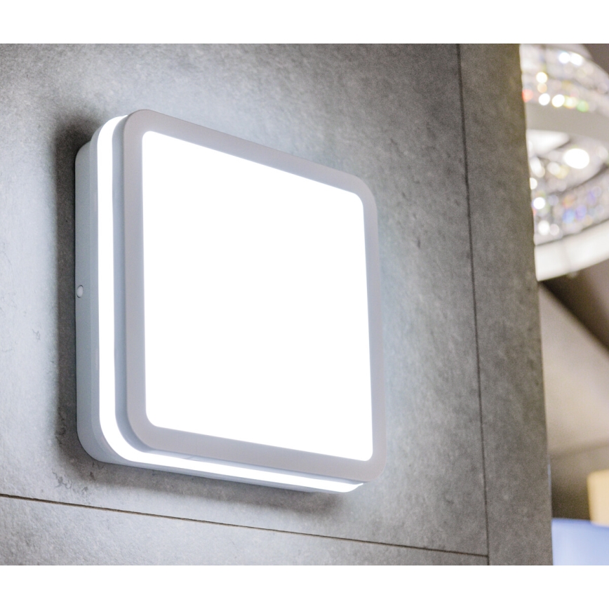 LED spoljašnja svetiljka BENO LED/24W/230V 4000K bela IP54