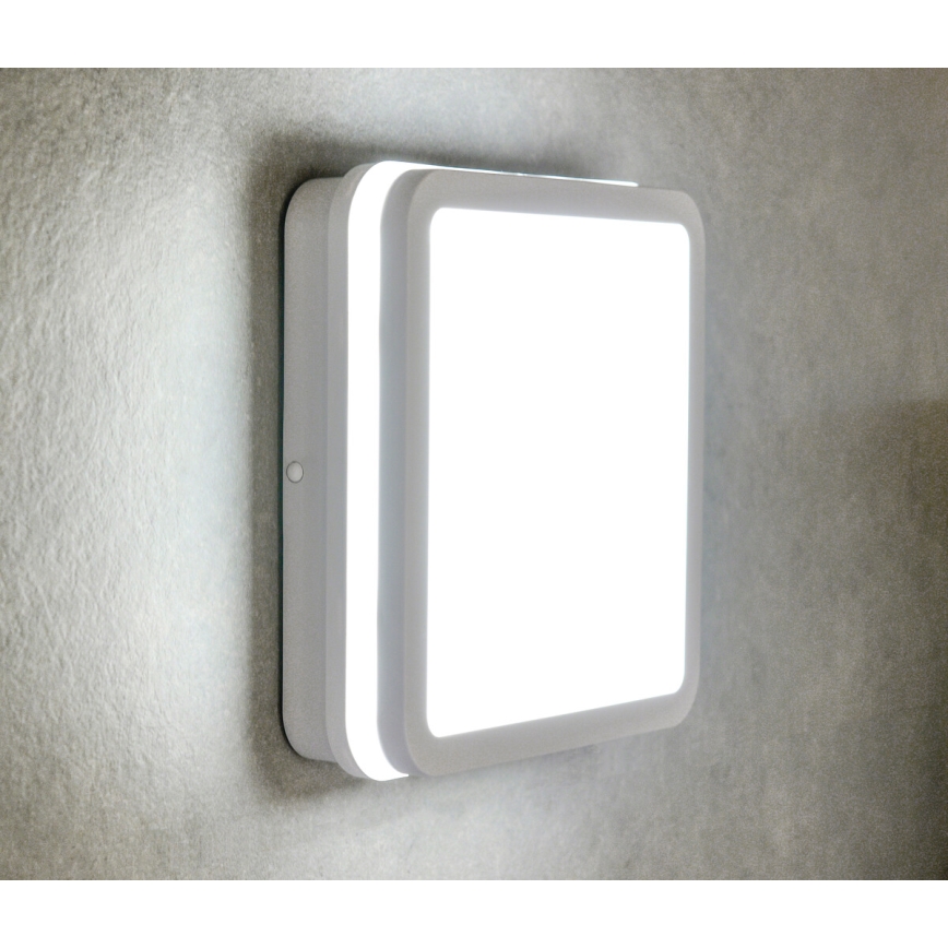 LED spoljašnja svetiljka BENO LED/24W/230V 4000K bela IP54