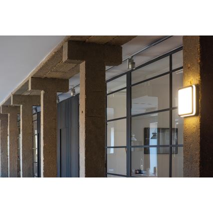 LED spoljašnja svetiljka BENO LED/24W/230V 4000K antracit IP54