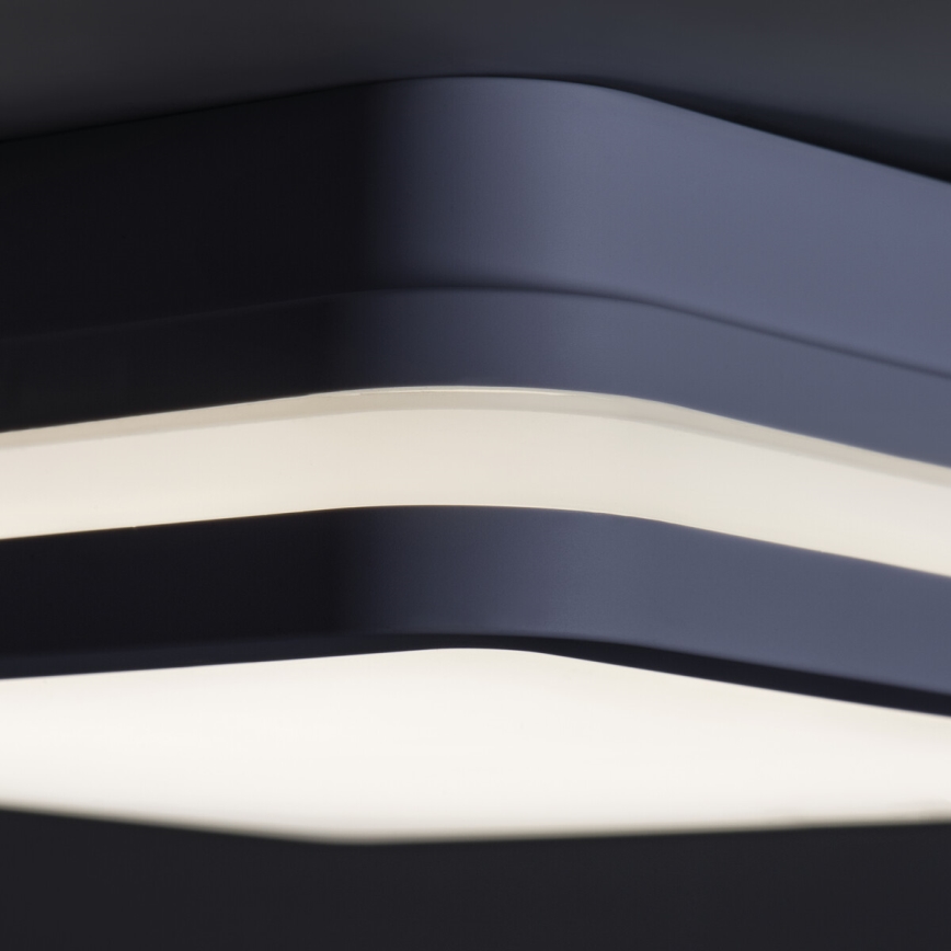 LED spoljašnja svetiljka BENO LED/24W/230V 4000K antracit IP54