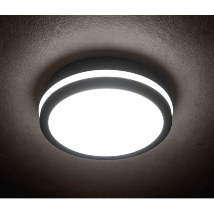 LED spoljna svetiljka BENO LED/18W/230V 4000K antracit IP54